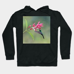 Glaucopian dryad Hoodie